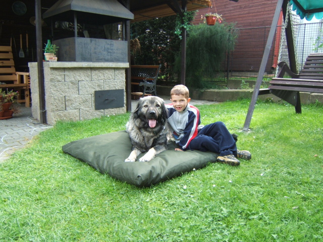 Sara-15.jpg