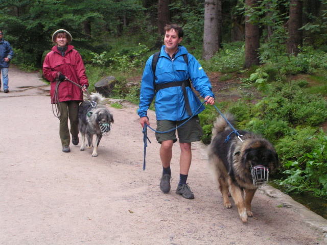 04 Adršpach 2006