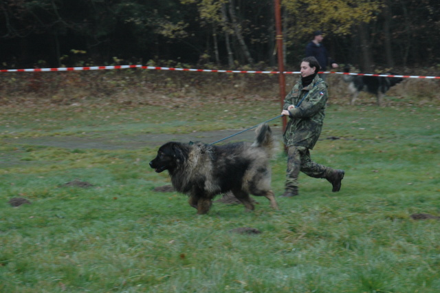 01 listopad 2007.JPG