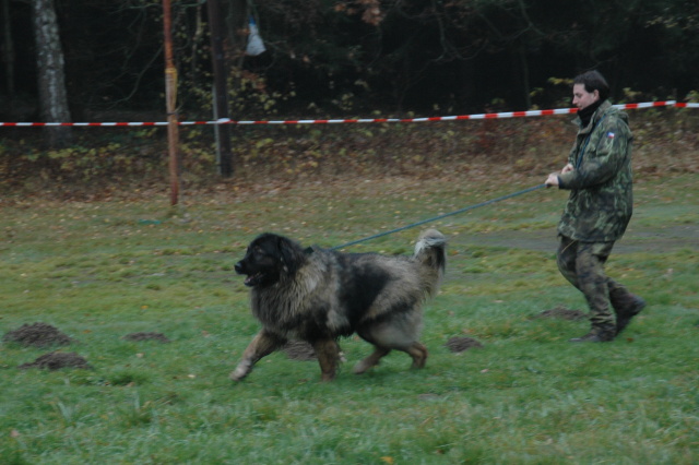 02 listopad 2007.JPG