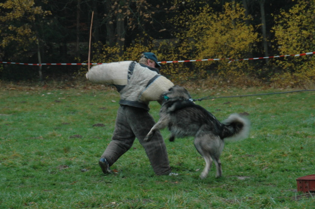 11 listopad 2007.JPG