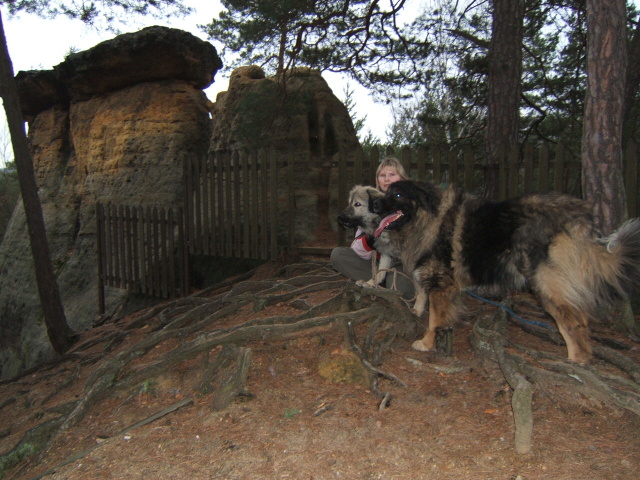 10 Kokořínsko únor 2008.JPG