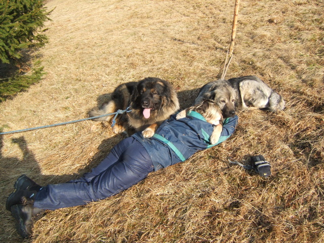 18 Krkonoše březen 2008.jpg