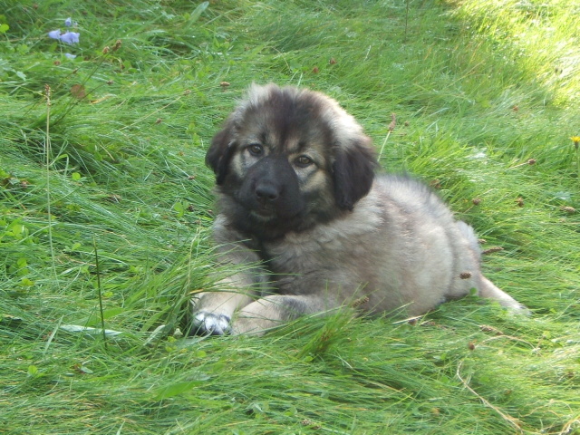 Sara-08.jpg