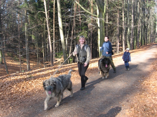15. Český ráj únor 2008.jpg