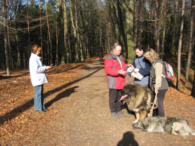16 Český ráj únor 2008.jpg