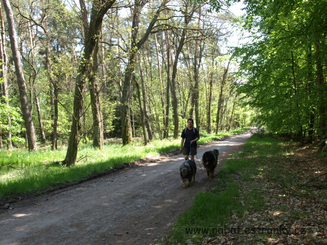 25 Čertovy hlavy květen 2008.jpg