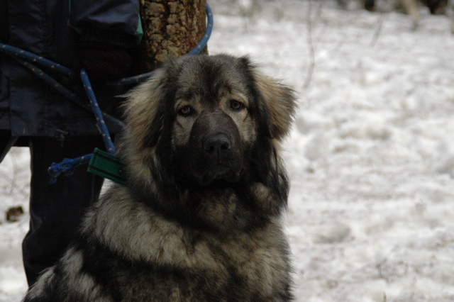 Sara-11.jpg