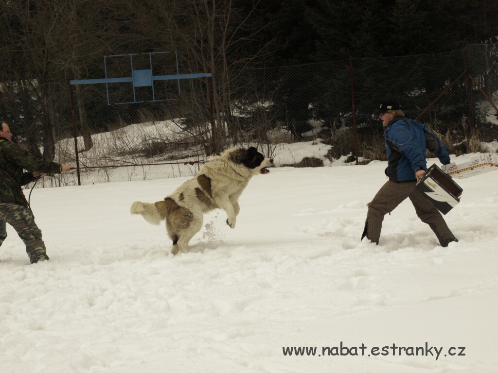 04 Morava - březen 2009.jpg