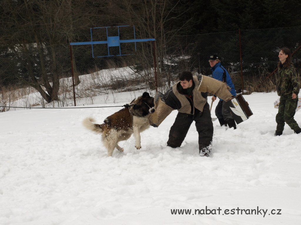 21 Morava - březen 2009.jpg