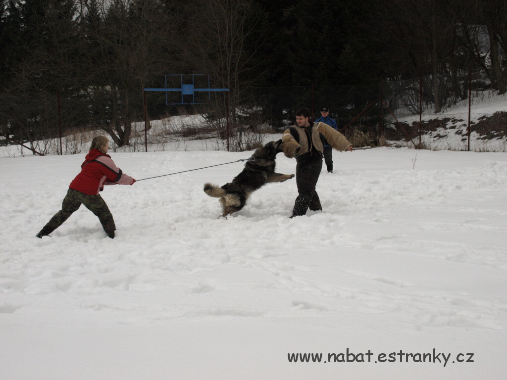 22 Morava - březen 2009.jpg