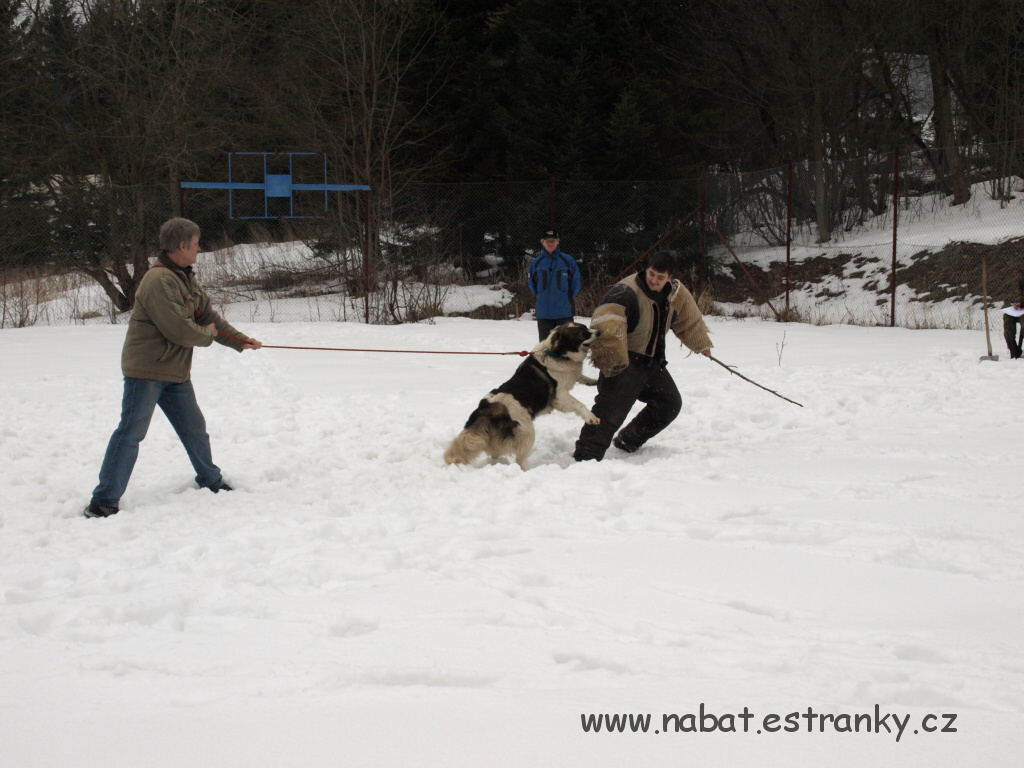 28 Morava - březen 2009.jpg