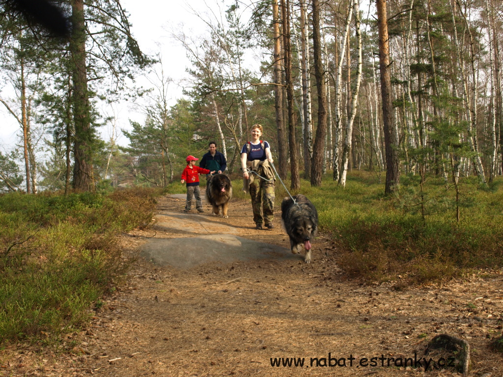 35 Klokočí duben 2009.jpg