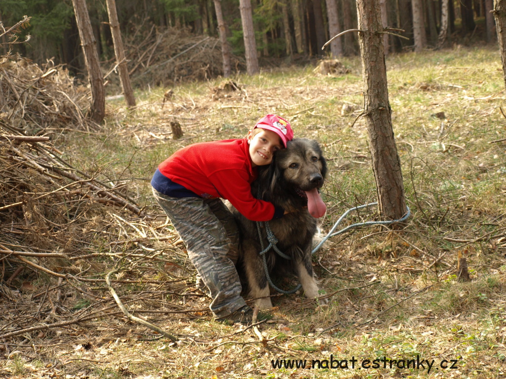 36 Klokočí duben 2009.jpg