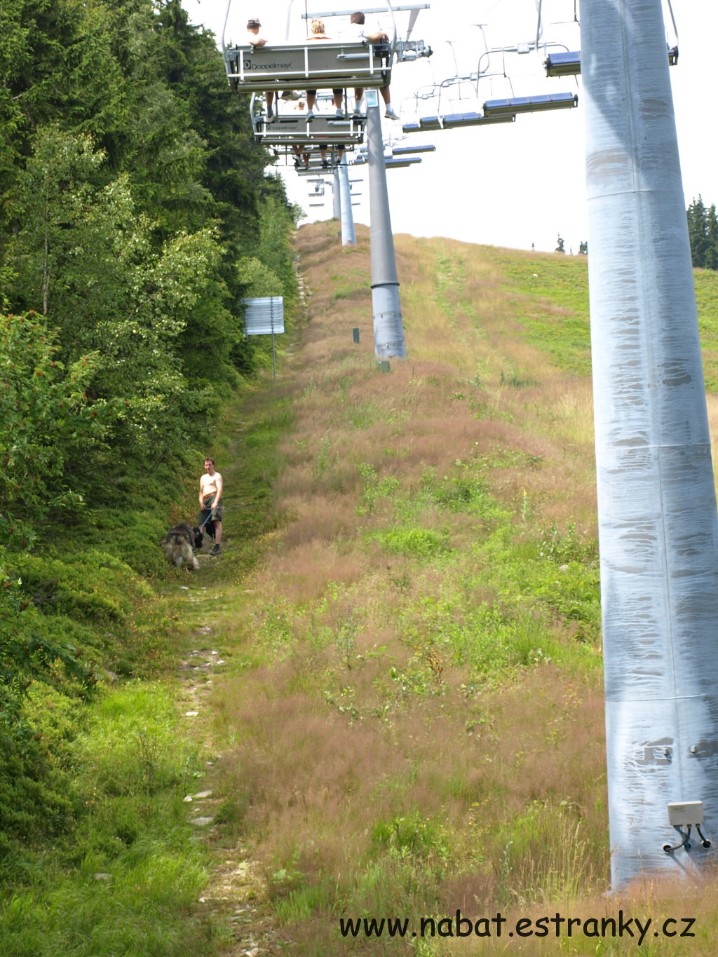 37 Žalý červenec 2009.jpg