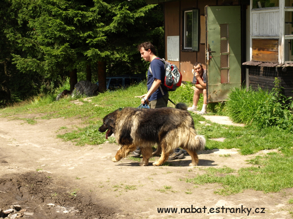 40 Žalý červenec 2009.jpg