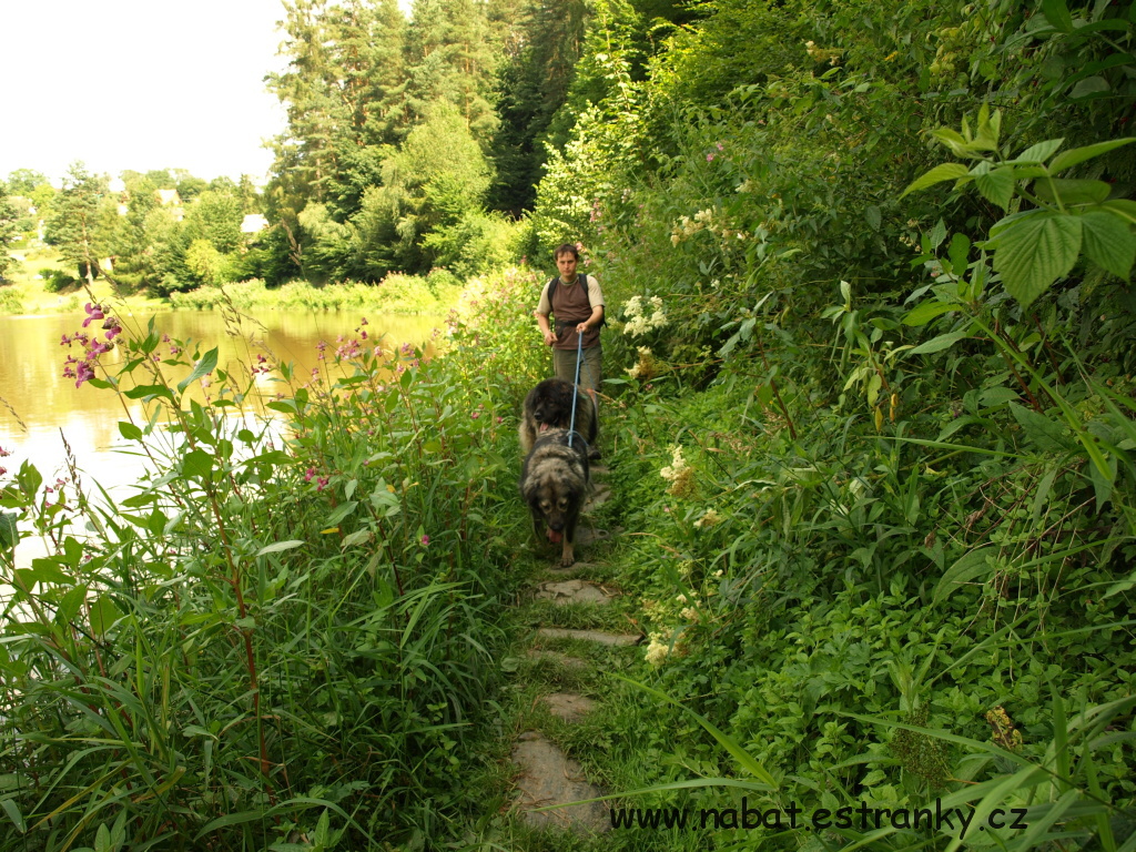 43 Sázava 2009.jpg