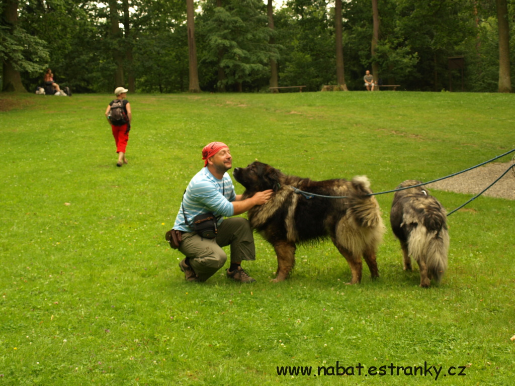 47 Sázava 2009.jpg