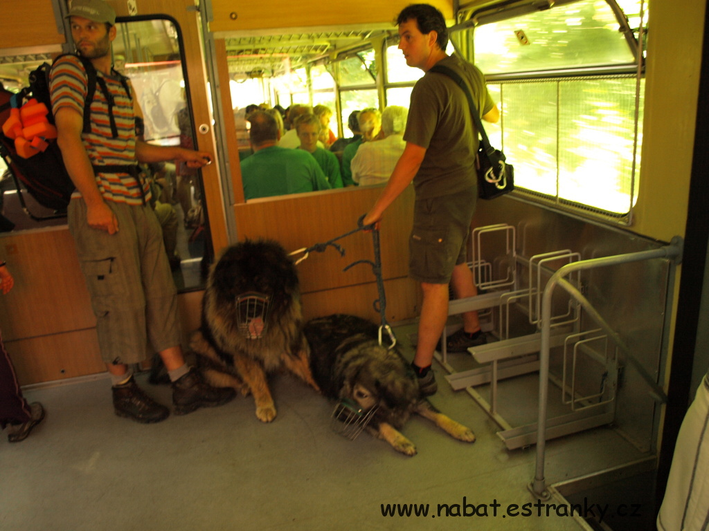 49 Sázava 2009.jpg