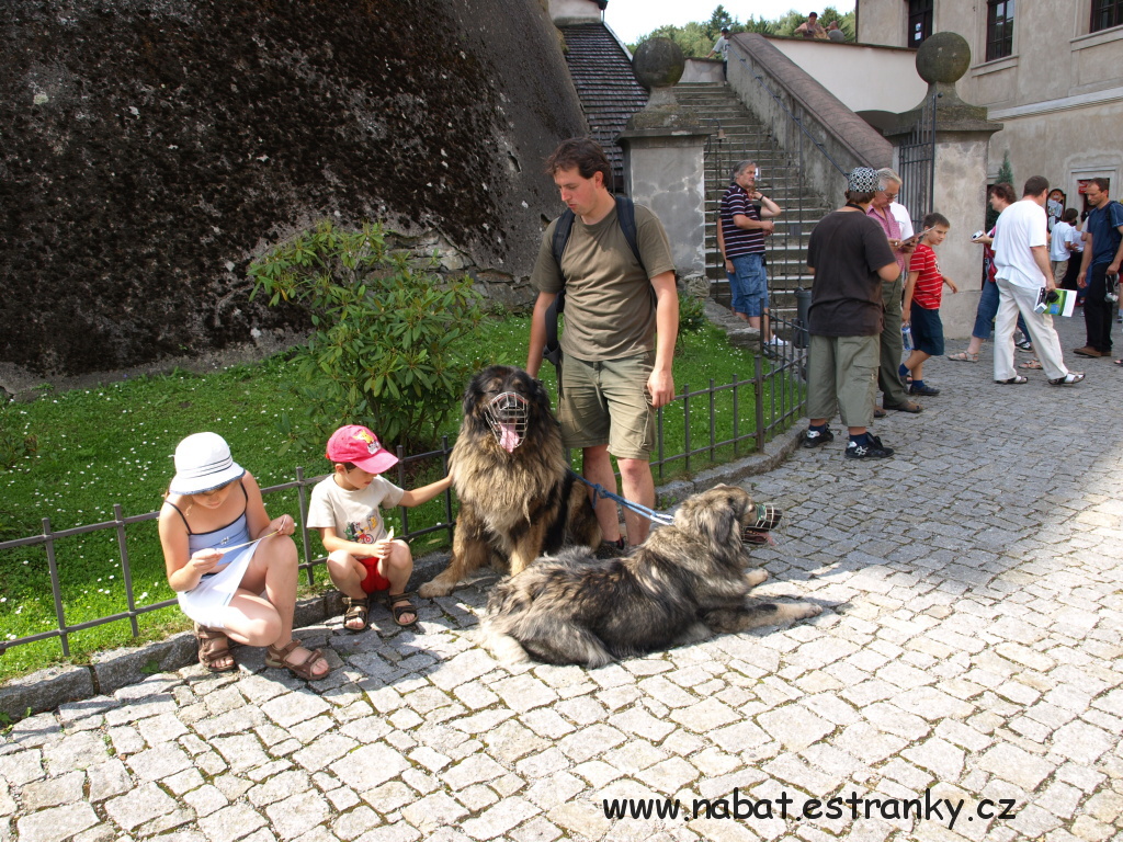 51 Sázava 2009.jpg