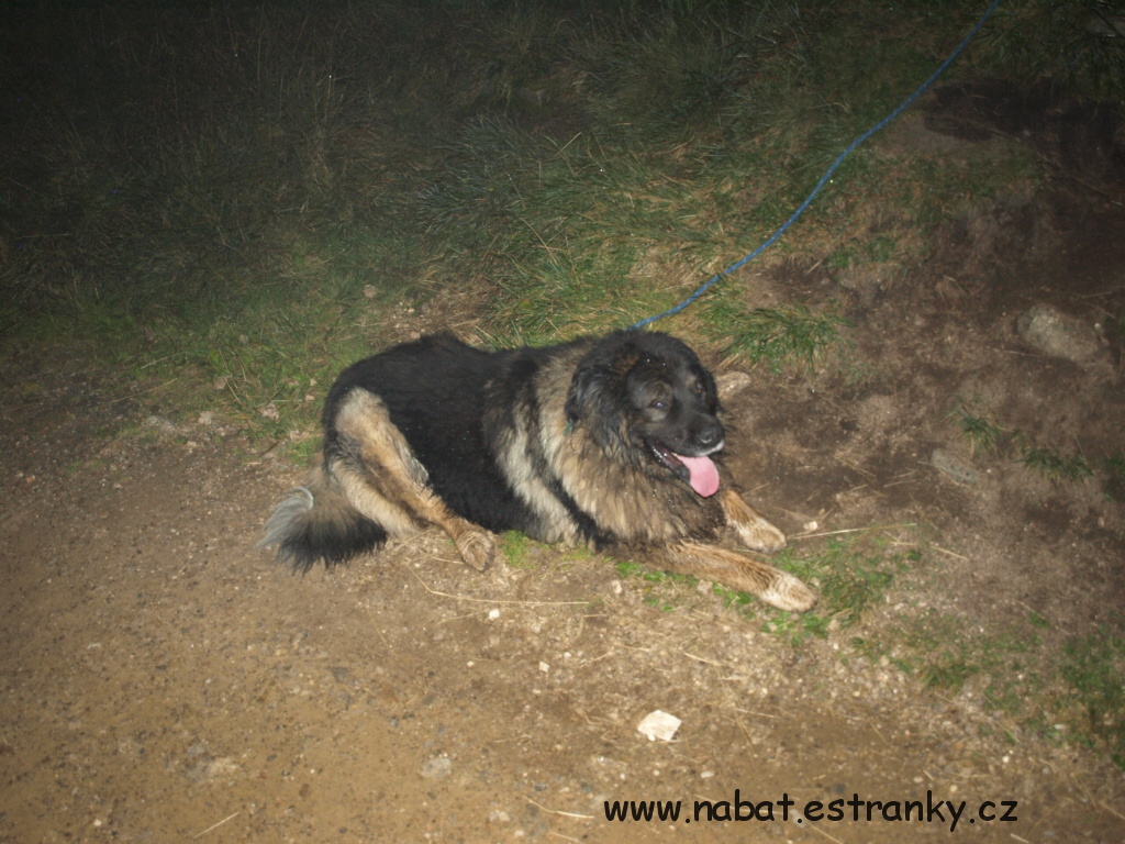 53 Výlet na Sněžku srpen 2009.jpg