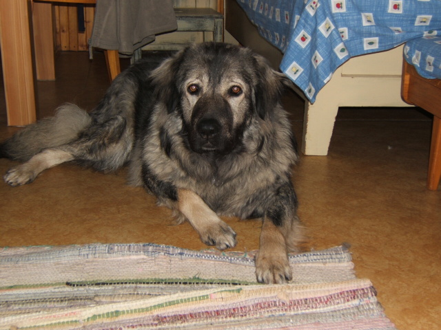 Sara-12.jpg