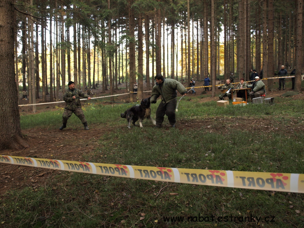 PA317329.jpg