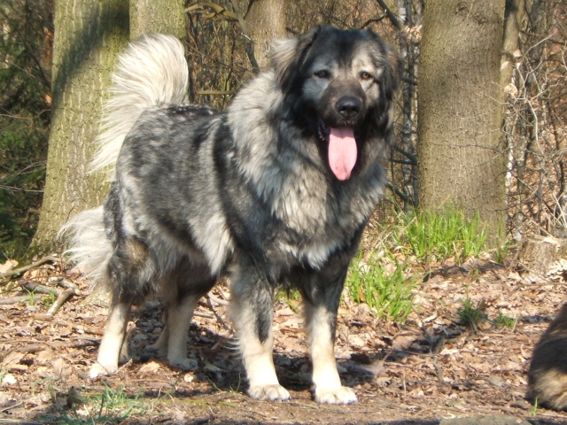 Sara-14.jpg