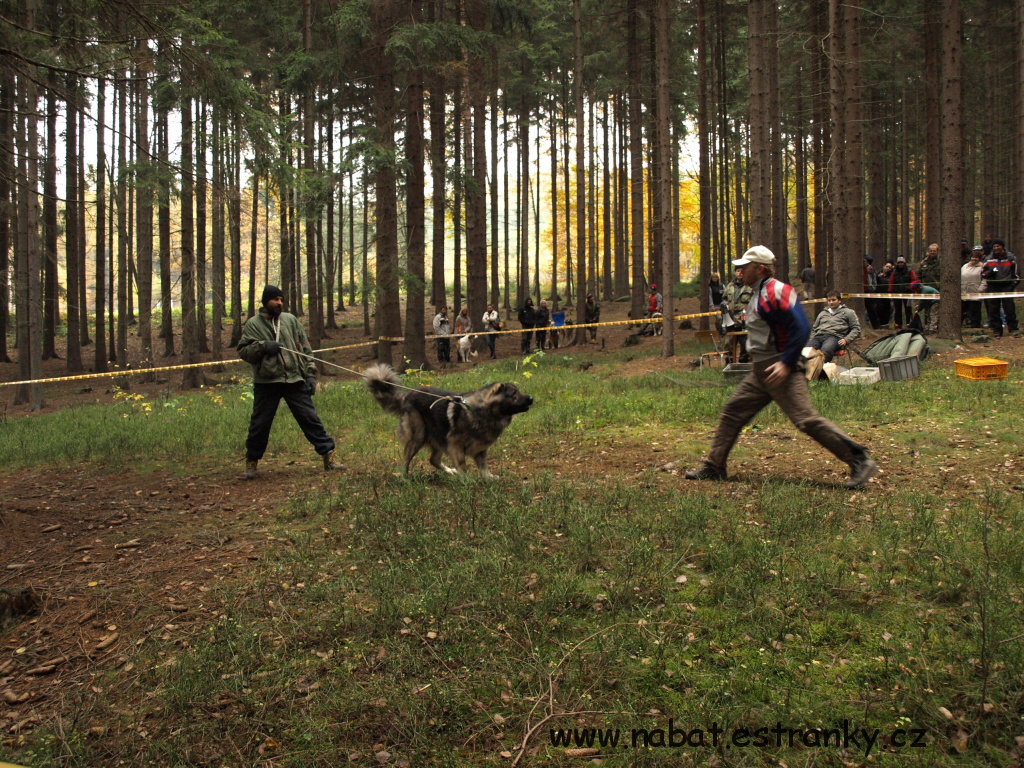 PA317087.jpg