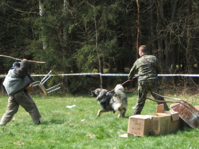 Sraz-13
